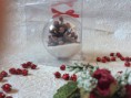 /album/galleria-foto-natale/christmasballpignacampred-jpg/